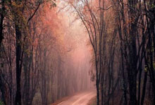 官方：基尔提前与主帅拉普续约到2028年，球队目前排名倒数第一.