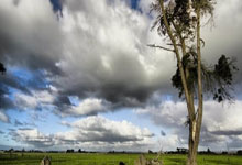 WELLBET：允许豪购！TA：曼城PSR空间达到3.24亿镑，没有财务违规的风险.