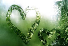 WELLBET：首席跟队：埃默松已经开始在沙地上恢复跑步训练.