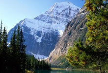 亚冠精英联赛：上海海港主场憾负横滨水手.