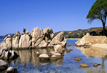 WELLBET：男子冰壶世锦赛开赛 中国队迎来“开门红.